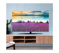 LUYSGBXR Funda Tv Exterior Cubierta for TV, cubierta antipolvo, tela de 32-70 pulgadas, for colgar en el hogar, escritorio, TV curva, Universal(05,70inch 161x96cm)