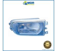 Luz Antiniebla Delantero Derecho Vidrio Raghavan - Dx - BMW Serie 5 E39 95- >00