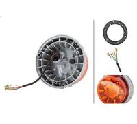 Luz de aviso, de destellos HELLA 2XD 011 557-101