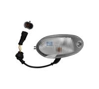 Luz De Marcado Lateral DT PIEZAS DE REPUESTO IAM-EXPERTISE Compatible Con IVECO