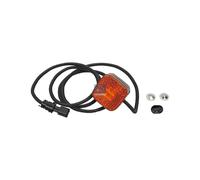 Luz De Marcado Lateral DT PIEZAS DE REPUESTO IAM-EXPERTISE Compatible Con MAN