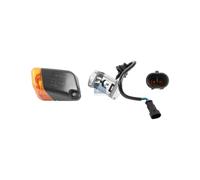 Luz de Marcador Lateral DT SPARE PARTS para U.a. Iveco