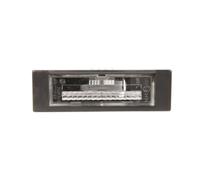 Luz de matrícula MAGNETI MARELLI 715105106000