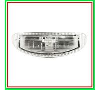 Luz de placa con bombilla Renault Twingo- (Año 1998-2000)