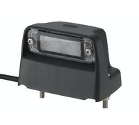 Luz de Placa Exterior 24V LED Transparente HELLA para Schmitz Cargobull Verano