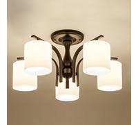 Luz de techo brillante Luz de techo nórdico LED, lámpara decorativa de luz de vidrio Shade, Dormitorio Salón lámpara de techo de restaurante Iluminación de techo(E27) Luz de techo sin parpadeo