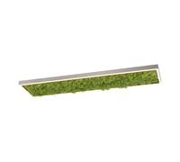 Luz De Techo LED Moderna Con Musgo Real 3000 K 100 Cm De Largo