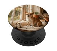 Luz de Ventana de Chihuahua acogedora Escena Interior del hogar PopSockets PopGrip Adhesivo