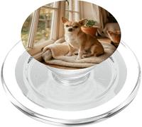 Luz de Ventana de Chihuahua acogedora Escena Interior del hogar PopSockets PopGrip para MagSafe