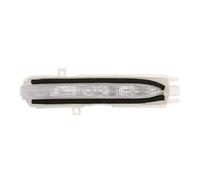 Luz del intermitente 5403-01-811862P BLIC