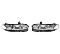 Luz Direccional para Espejo Retrovisor para Mercedes-Benz G55 2003-2011 463.246 2038201321 2038201421, Intermitentes Dinámicos Accesorios para Luz Direccional