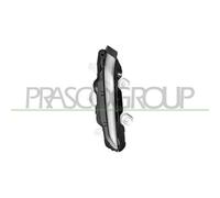 PRASCO PG3304315 Luz diurna