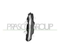 Luz Diurna Prasco PG3304316 para Peugeot