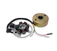 luz eléctrica Completo con POLRAD Incluye Base para Mina Relli - maxtuned