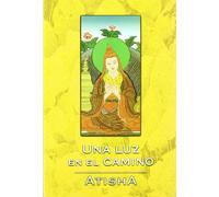 Luz en el camino, una (SIN COLECCION)
