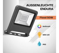 Luz Exterior Ledvance Endura Flood 50 W LED Proyector Lámpara De Pared