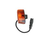 DT Spare Parts 3.31171 Piloto intermitente