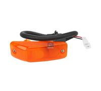 Luz Intermitente Ambos Lados DT SPARE PARTS Iam-Expertise Apto para DAF