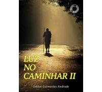 Luz No Caminhar Ii (ebook)