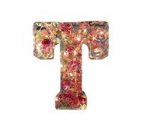 Luz nocturna de resina floral, letras de resina de flores prensadas con luz, lámparas de letras personalizadas, luz nocturna personalizada con nombre de flor seca, letras iluminadas para decoración de