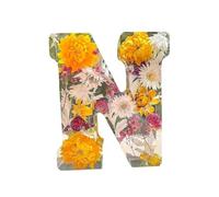 Luz nocturna de resina floral, letras de resina de flores prensadas con luz, lámparas de letras personalizadas, luz nocturna personalizada con nombre de flor seca, letras iluminadas para decoración de