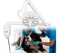 Luz para Examen médico Lámpara De Exploración Quirúrgica LED Médica De 30 W, Lámpara Auxiliar Sin Sombras For Cirugía Mínimamente Invasiva, Con Brazo Giratorio De 360° Y Ángulo Ajustable.
