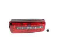 Luz Trasera Derecha DT SPARE PARTS Iam-Expertise Adecuado para U.a. Man