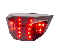 Luz Trasera LED Compatible Con KTM 690 Duke / R
