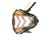 Luz Trasera LED De Giro Para Motocicleta Para YZF-R15 2014-2016 Trasera