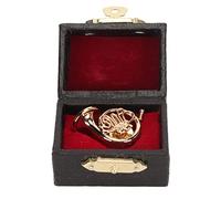 lvifloae Broche de Instrumento Chapado en Oro, Broche de Trompeta en Miniatura, Broche de Instrumento de Metal para conciertos de Danza, con Estuche