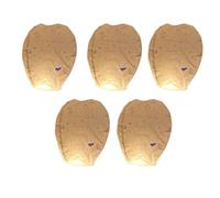 LVYUDS Fiesta Linternas Chinas Del Cielo Seguros Farolillos Voladores Con Bolígrafo Escribe Tu Deseo Confía Tus Esperanzas Para Ocasiones Festivas(Blanco,5pcs,80cm)