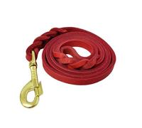 LWBMG Correa de Cuero para Perro, 4 pies x 1/2 Pulgadas, Trenzada, cómoda Correa de Entrenamiento para Perros pequeños y medianos, Color Rojo