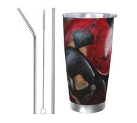 LXCNQFN Vaso de acero inoxidable de 20 onzas con tapa, aislado al vacío, taza de café con diseño de mariquita roja para viajes, taza de coche de doble pared con pajitas de metal y limpiador de pajitas