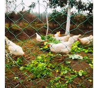 LXGKREL Red de aves red de pollo red aviaria muy robusta con nudos fijos malla de 5 cm valla de aves de corral para protección de aves rapaces complemento ideal para el gallinero