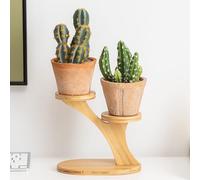 Lxoraziy Mini 2 Niveles Soporte para Plantas de Bambú, Estante de Exhibición de Plantas, Soporte para Macetas Suculentas de Mesa, para Decoración de Alféizar de Ventana de Escritorio en Casa