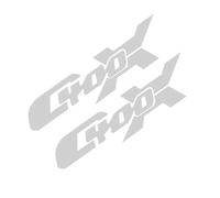 LXSKJ Pegatina para carrocería Accesorios Adhesivos para Motocicleta para BMW C 400 X C400X 2018-2023(Grigio)