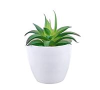 LXYST Artificial Green Cactus Small Succulent Plastic Plants Fake Aloe Flower Potted Ornaments for Table Decoration Craft Bonsai Pine Tree (Color : F)