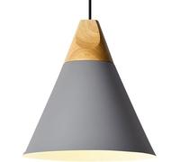 LXYST Creative Cone Pendant Nordic Chandelier Style Ceiling Base Minimalist Metal Farmhouse Hanging Lights for Dining Room (Color : Light Green, Size