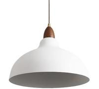 LXYST E27 Light Source Single-Head Hanging Light,Japanese Minimalist Style Chandelier,Creative Personality Metal Pendant Lamp Lampshade,Study Office Meeting Room Decorative Li