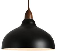 LXYST E27 Light Source Single-Head Hanging Light,Japanese Minimalist Style Chandelier,Creative Personality Metal Pendant Lamp Lampshade,Study Office Meeting Room Decorative Li