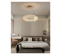 LXYST Luxurious French Crystal Chandelier Round Main Light for Restaurant Hall Dimmable RC Elegant Indoor Fixture (D60 cm)