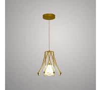 LXYST Metal Pendant Glass Ceiling Hanging Lamp LED Dimmable Suspended Light Fixture Personality Restaurant Cafe Decor Chandelier,for Living Room