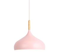 LXYST Nordic Head - Restaurant Pendant Light Shade Industrial Style Decorative Fixture Commercial Personality Chandelier(Pink,30cm)
