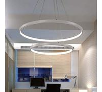 LXYST Ring Pendant with Remote,Dimmable Aluminum Ceiling Light Fixture, Adjustable Acrylic Shade Hanging Lamp for Kitchen Living Bedroom Dining Room Restaurant,A-40+60cm
