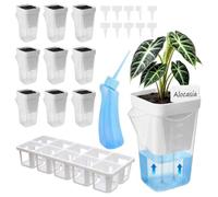 lyanny Maceta de Autorriego 10 Piezas Cajas De Cultivo Transparentes