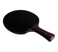 LYDBMYT Juego de Raquetas de Tenis de Mesa, Raqueta de Tenis de Mesa de Ataque rápido con combinación de aro en Arco, Raqueta de Ping Pong Profesional de 9 Estrellas para Jugadores y Entrenadores