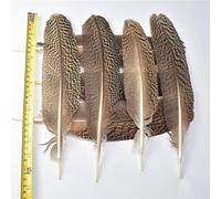 LYFANG Varias plumas de águila naturales reales 10 unids 15-40 cm plumas de águila para manualidades bricolaje decoración de la boda Plumes