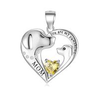 LYFHJD Sterling Silver You Are My Sunshine Mom Heart Dog Necklace Chain 12 Birthstone For Women Jewelry