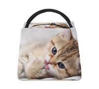 Lyfthologen Bolsa refrigeradora, bolsa de almuerzo con patrón de gato, bolsa de almuerzo aislada para el trabajo, camping, viajes