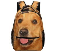 Lyfthologen Mochila casual de tela Oxford duradera, con patrón de experimentos de química, bolsa universitaria para niños, niñas, viajes, deportes, Golden Retriever Dog, One Size